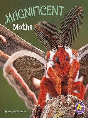 cover image of Magnificent Moths